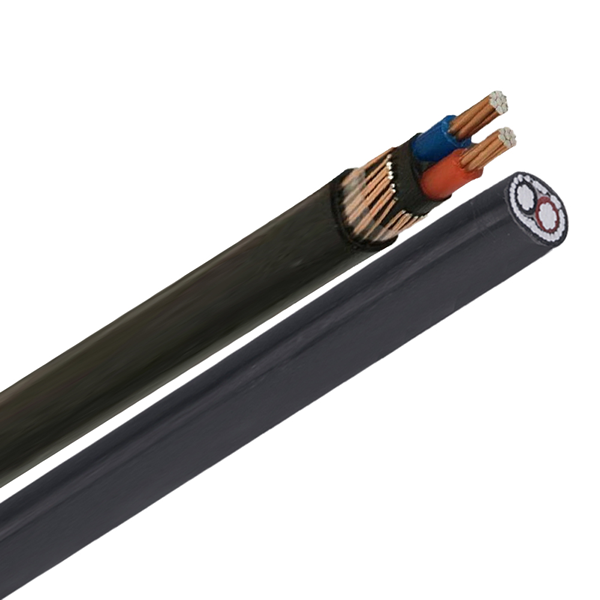 Câble concentrique BT