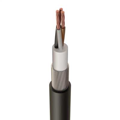 Câble multipolaire cuivre blindé, isolé en PVC 0,6/1KV